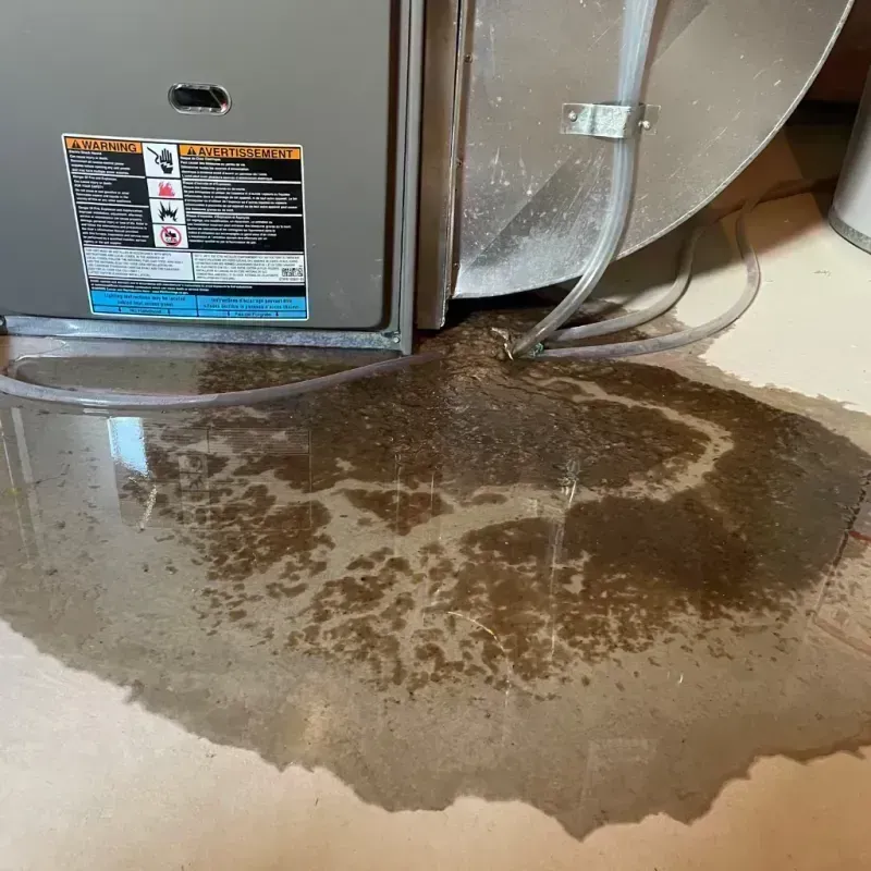 Appliance Leak Cleanup in Plattsburg, MO